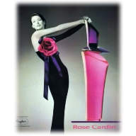 Rose Pierre Cardin - Rose Pierre Cardin poster