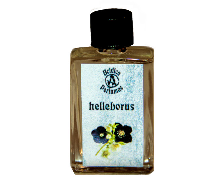 Helleborus - Acidica Perfumes